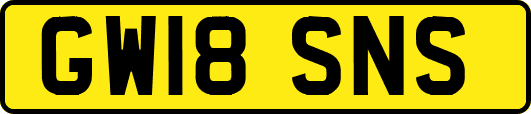 GW18SNS