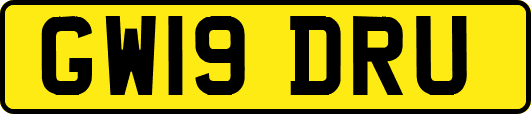 GW19DRU
