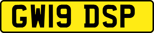 GW19DSP