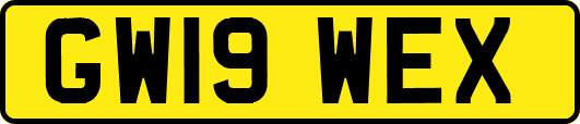 GW19WEX