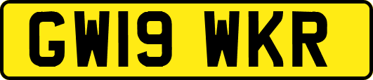 GW19WKR