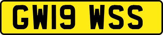 GW19WSS