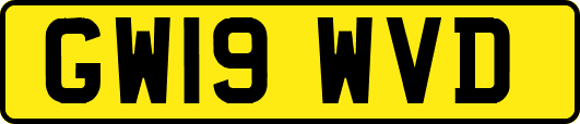 GW19WVD