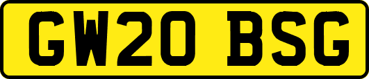 GW20BSG
