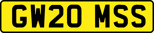 GW20MSS