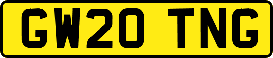 GW20TNG