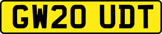GW20UDT