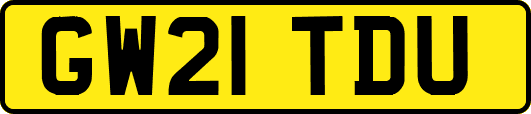 GW21TDU