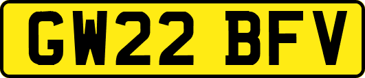 GW22BFV