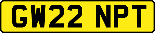 GW22NPT