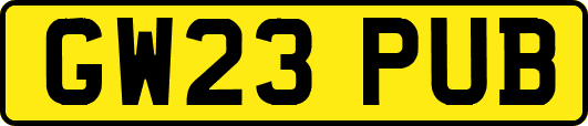 GW23PUB