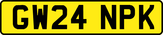 GW24NPK