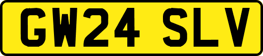GW24SLV