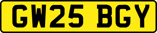 GW25BGY