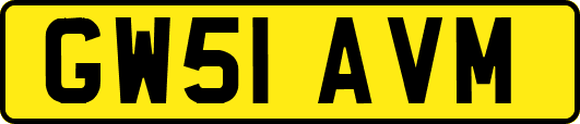 GW51AVM