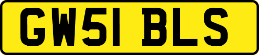 GW51BLS