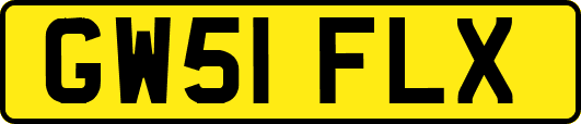 GW51FLX