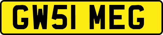 GW51MEG