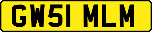 GW51MLM