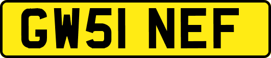 GW51NEF