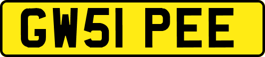GW51PEE