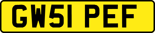 GW51PEF