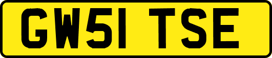 GW51TSE