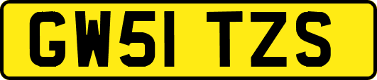 GW51TZS