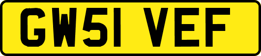 GW51VEF