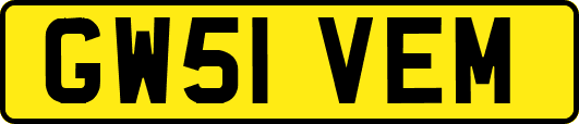GW51VEM