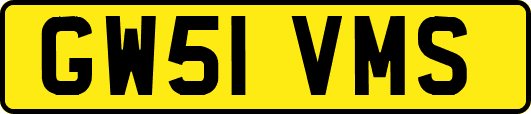 GW51VMS