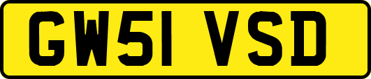 GW51VSD