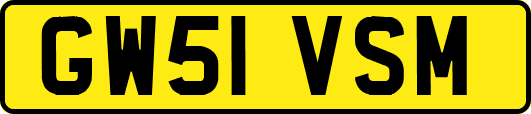 GW51VSM