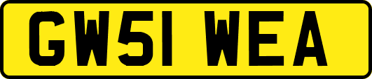 GW51WEA