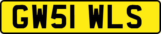 GW51WLS