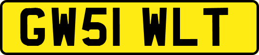 GW51WLT