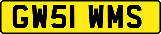 GW51WMS