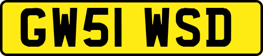GW51WSD