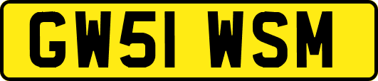 GW51WSM