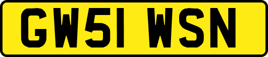 GW51WSN