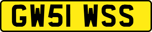 GW51WSS