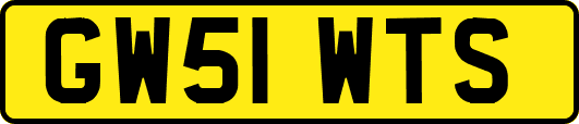 GW51WTS