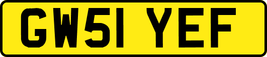 GW51YEF
