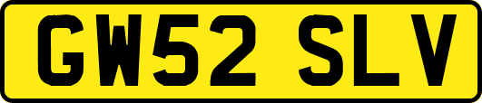 GW52SLV