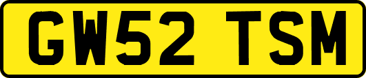 GW52TSM