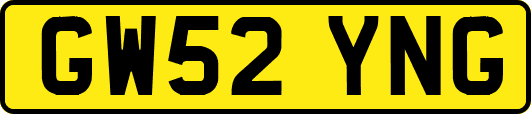 GW52YNG