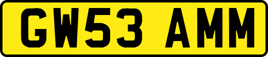 GW53AMM