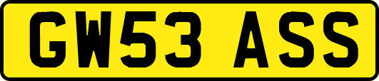 GW53ASS