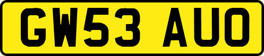 GW53AUO