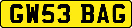GW53BAG